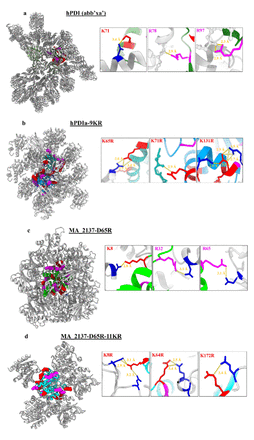 Crystal-packing in structures from proteins containing bulk-KR mutations.