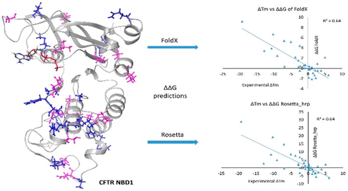 Stability Prediction for Mutations in the Cytosolic Domains of Cystic Fibrosis Transmembrane Conductance Regulator